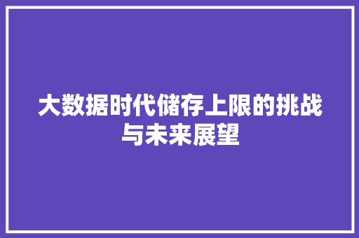 大数据时代储存上限的挑战与未来展望