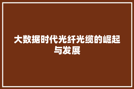 大数据时代光纤光缆的崛起与发展