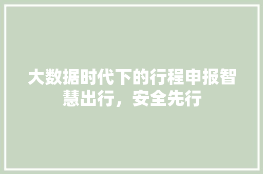 大数据时代下的行程申报智慧出行，安全先行