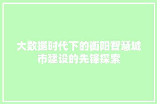 大数据时代下的衡阳智慧城市建设的先锋探索