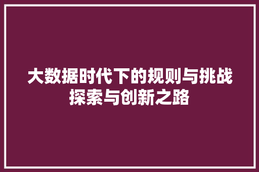 大数据时代下的规则与挑战探索与创新之路