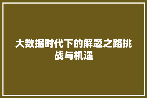 大数据时代下的解题之路挑战与机遇