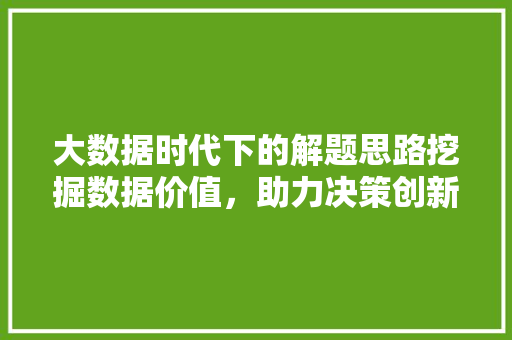 大数据时代下的解题思路挖掘数据价值，助力决策创新