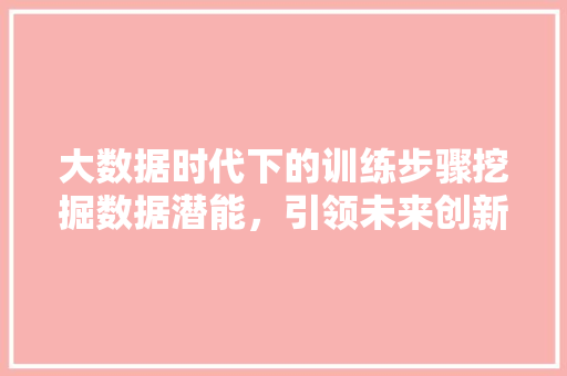 大数据时代下的训练步骤挖掘数据潜能，引领未来创新