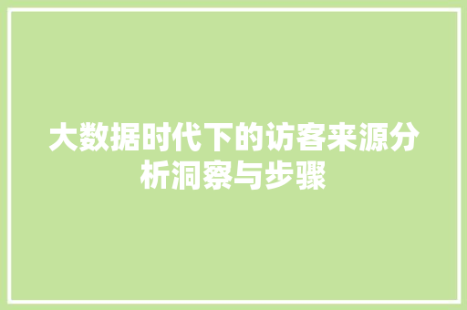 大数据时代下的访客来源分析洞察与步骤