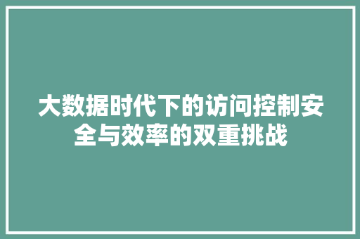 大数据时代下的访问控制安全与效率的双重挑战