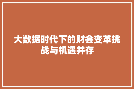 大数据时代下的财会变革挑战与机遇并存