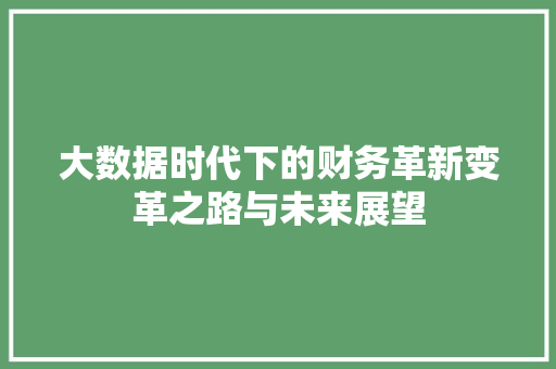 大数据时代下的财务革新变革之路与未来展望