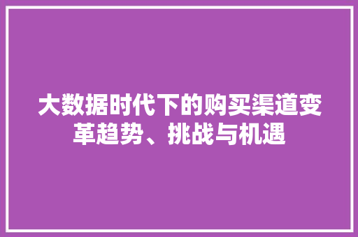大数据时代下的购买渠道变革趋势、挑战与机遇  第1张