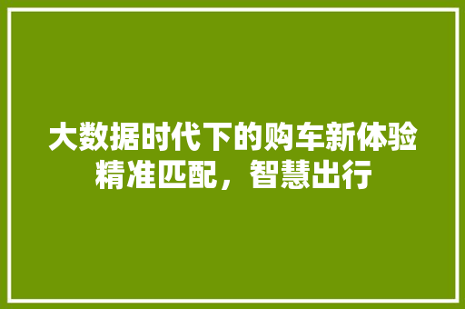 大数据时代下的购车新体验精准匹配，智慧出行