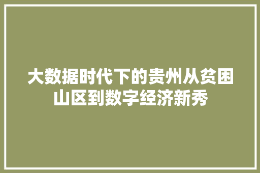 大数据时代下的贵州从贫困山区到数字经济新秀