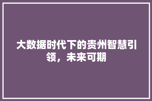 大数据时代下的贵州智慧引领，未来可期  第1张