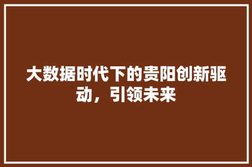 大数据时代下的贵阳创新驱动，引领未来