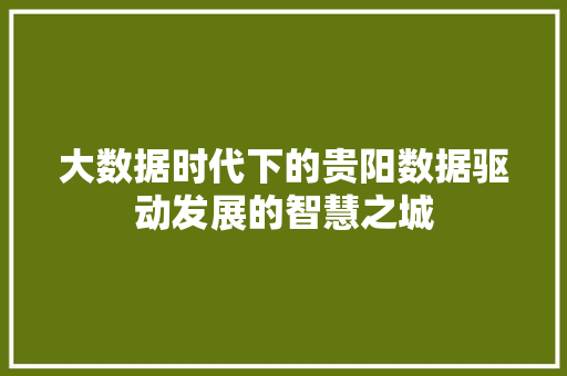 大数据时代下的贵阳数据驱动发展的智慧之城
