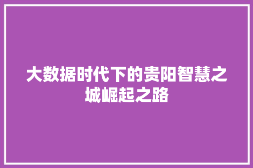 大数据时代下的贵阳智慧之城崛起之路