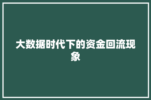 大数据时代下的资金回流现象