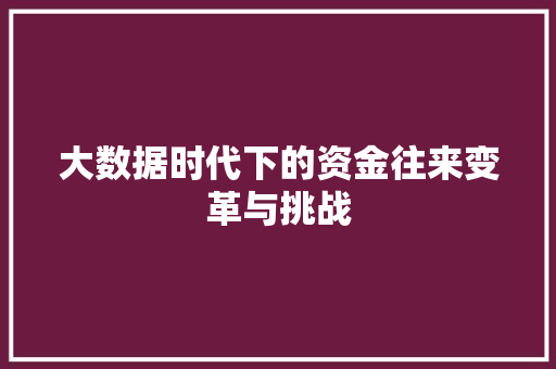 大数据时代下的资金往来变革与挑战