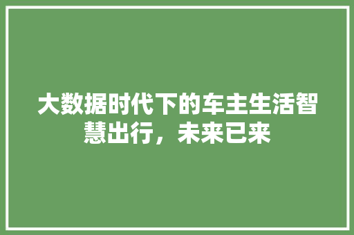 大数据时代下的车主生活智慧出行，未来已来  第1张