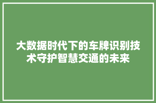 大数据时代下的车牌识别技术守护智慧交通的未来