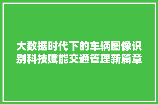 大数据时代下的车辆图像识别科技赋能交通管理新篇章  第1张