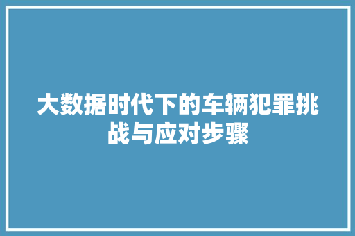大数据时代下的车辆犯罪挑战与应对步骤  第1张