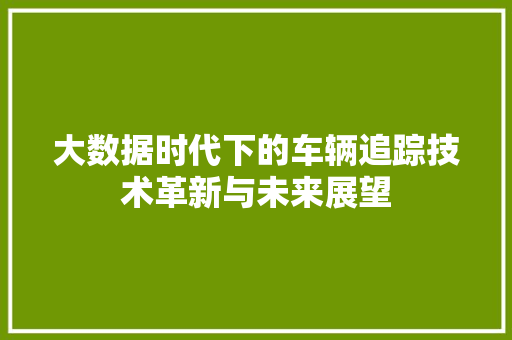 大数据时代下的车辆追踪技术革新与未来展望  第1张