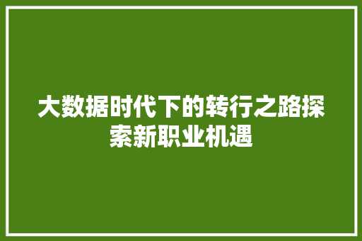 大数据时代下的转行之路探索新职业机遇  第1张
