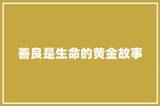 大数据时代下的转账革命时间经济的重塑与挑战