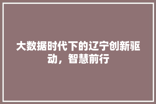 大数据时代下的辽宁创新驱动，智慧前行  第1张