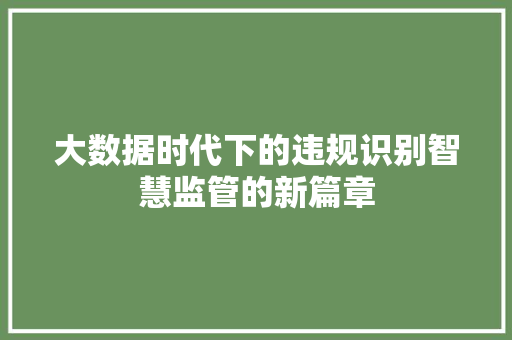 大数据时代下的违规识别智慧监管的新篇章  第1张