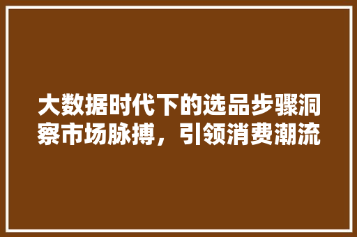 大数据时代下的选品步骤洞察市场脉搏，引领消费潮流