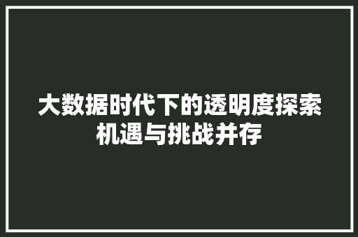 大数据时代下的透明度探索机遇与挑战并存