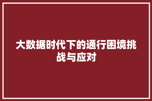 大数据时代下的通行困境挑战与应对