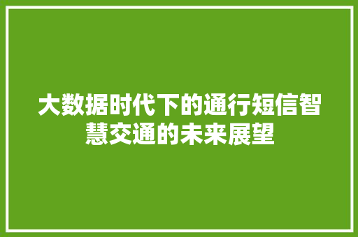 大数据时代下的通行短信智慧交通的未来展望  第1张