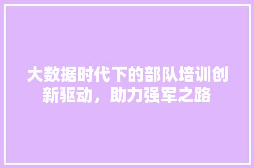 大数据时代下的部队培训创新驱动，助力强军之路