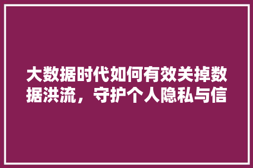 大数据时代如何有效关掉数据洪流，守护个人隐私与信息安全  第1张