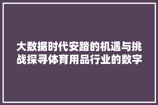 大数据时代安踏的机遇与挑战探寻体育用品行业的数字化转型之路