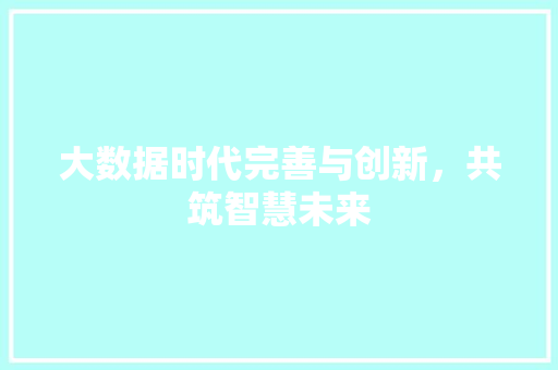大数据时代完善与创新，共筑智慧未来  第1张
