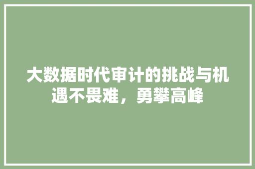 大数据时代审计的挑战与机遇不畏难，勇攀高峰  第1张