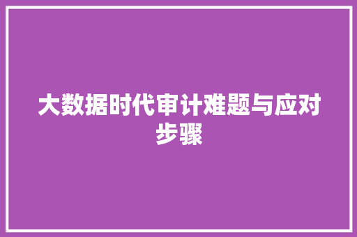 大数据时代审计难题与应对步骤  第1张