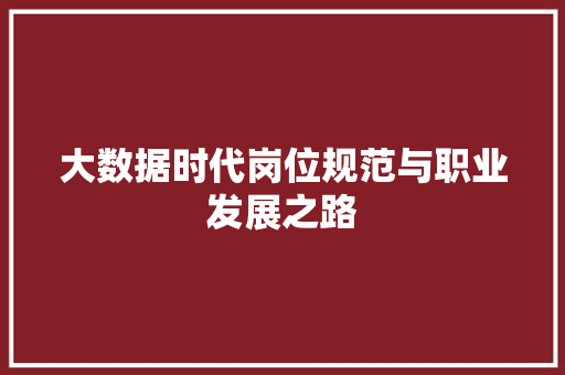 大数据时代岗位规范与职业发展之路