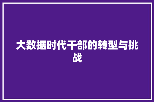 大数据时代干部的转型与挑战  第1张