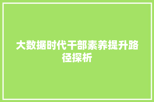 大数据时代干部素养提升路径探析  第1张