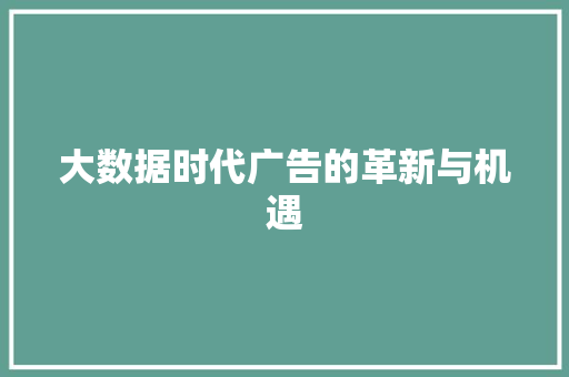 大数据时代广告的革新与机遇  第1张