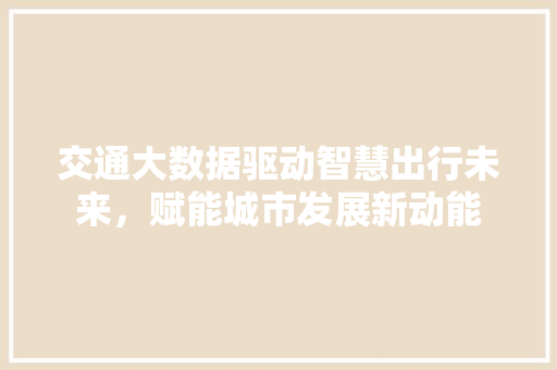 交通大数据驱动智慧出行未来，赋能城市发展新动能  第1张