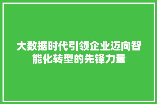 大数据时代引领企业迈向智能化转型的先锋力量  第1张