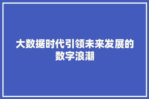 大数据时代引领未来发展的数字浪潮  第1张