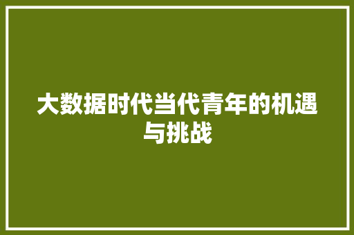 大数据时代当代青年的机遇与挑战  第1张