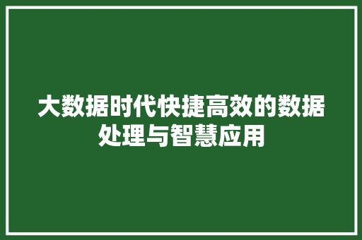 大数据时代快捷高效的数据处理与智慧应用  第1张