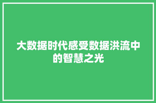 大数据时代感受数据洪流中的智慧之光  第1张